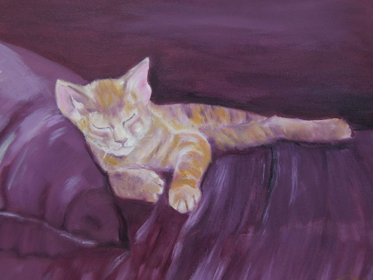 The Kitten Sleeping image